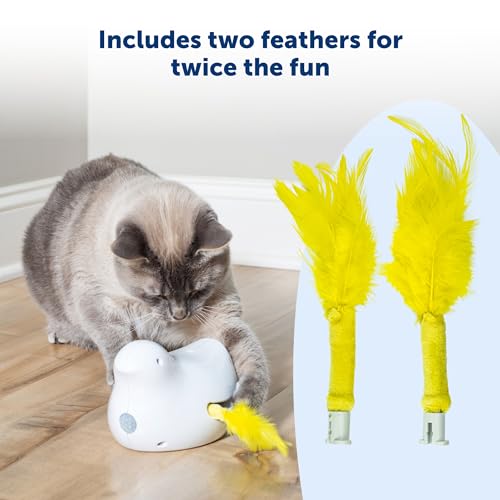PetSafe Peek-A-Bird Cat Toy Replacement Feathers - Image 3