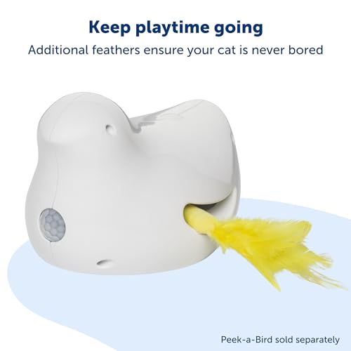 PetSafe Peek-A-Bird Cat Toy Replacement Feathers - Image 5