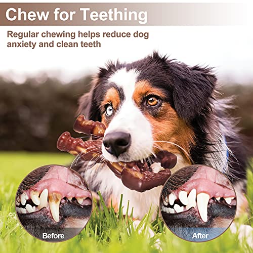 PETSTA Indestructible Dog Toys For Aggressive Chewers - Image 5