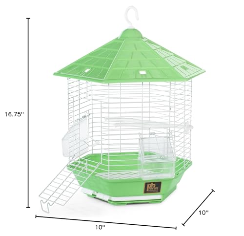 PH Prevue Hendryx Bali Bird Cage SP31997GREEN, Green - Image 3
