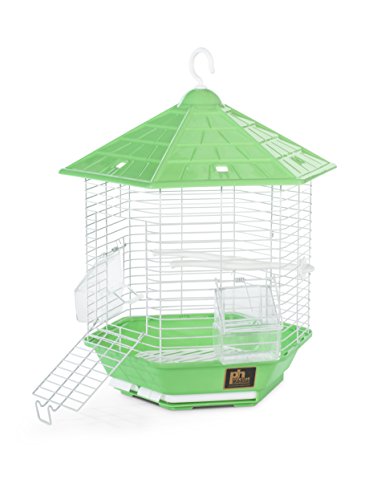 PH Prevue Hendryx Bali Bird Cage SP31997GREEN, Green - Image 2