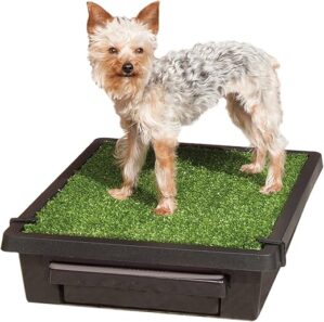 PetSafe Portable Dog Potty – Small, Easy-to-Clean