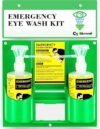 CGOLDENWALL Portable Eye Wash Station, 16.09oz Capacity