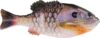 Berkley Powerbait Gilly Soft Bait