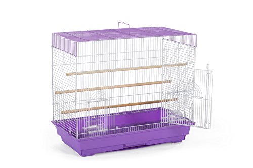 Prevue Pet Products SP1804-3 Flight Cage, Lilac/White - Image 3