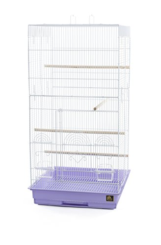 Prevue Pet Products Tall Tiel Cage SPECONO1818H-PB, Periwinkle - Image 5