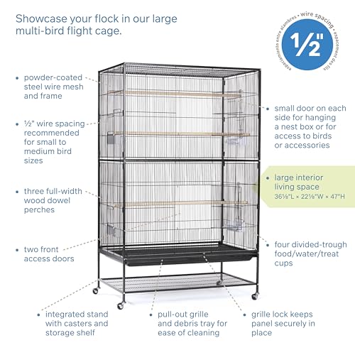Prevue Pet Products Wrought Iron Flight Cage, X-Large - Image 3