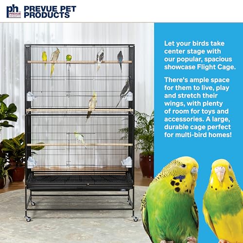 Prevue Pet Products Wrought Iron Flight Cage, X-Large - Image 2