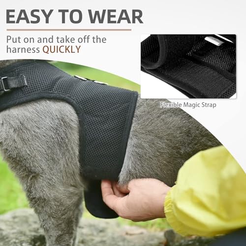 PUPTECK Soft Mesh Cat Vest Harness And Leash Set, Black XL - Image 5
