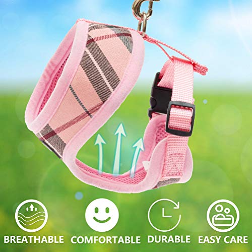 PUPTECK Soft Mesh Dog Harness Leash Set - Image 4