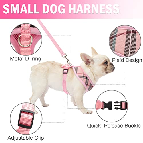 PUPTECK Soft Mesh Dog Harness Leash Set - Image 2