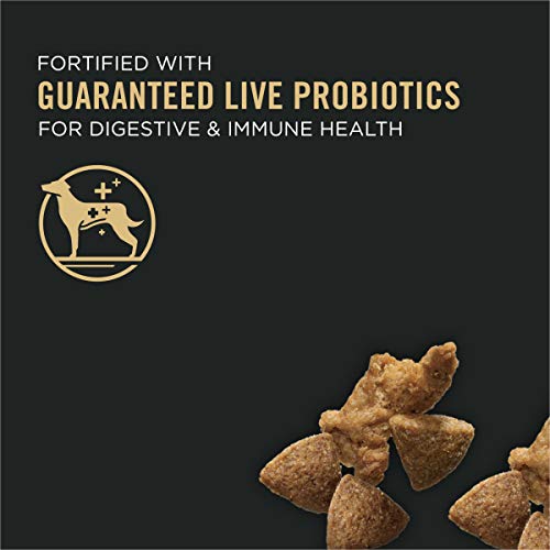 Purina Pro Plan High Protein Dog Food Shredded Blend - Image 2