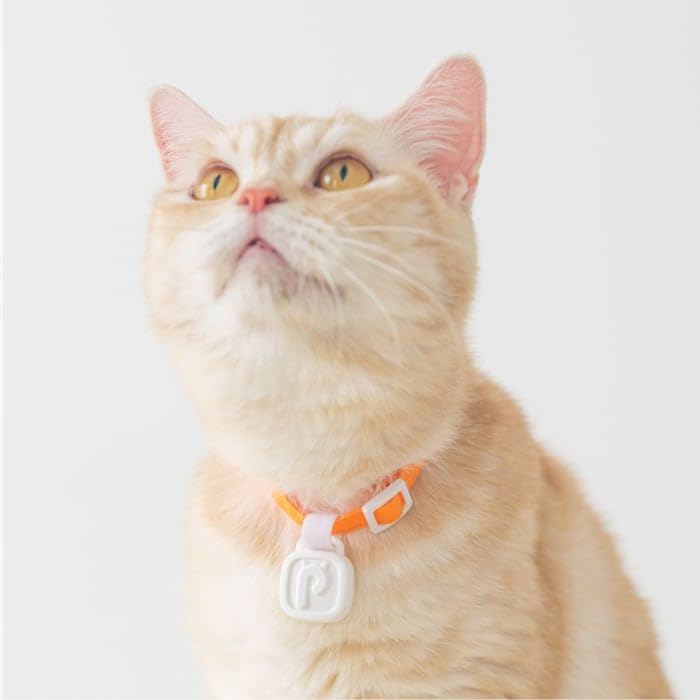 PurrSong Smartwatch For Cat ID Tag & Fitness - Image 3