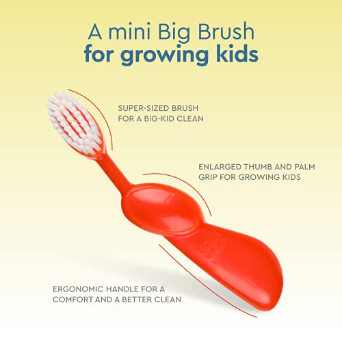 RADIUS Kidz Toothbrush Right Hand BPA Free - Image 3