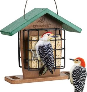 Kingsyard Recycled Plastic Double Suet Feeder (Green)