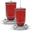 Perky-Pet Red Mason Jar Hummingbird Feeder
