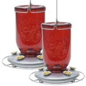 Perky-Pet Red Mason Jar Hummingbird Feeder