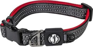 Franklin Sports Reflective Nylon Dog Collar, Small