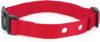 PetSafe Replacement Collar Strap For Dogs, Red