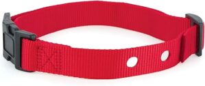 PetSafe Replacement Collar Strap For Dogs, Red