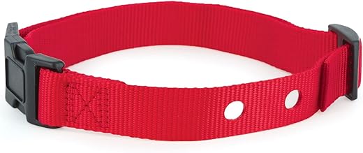 PetSafe Replacement Collar Strap For Dogs, Red