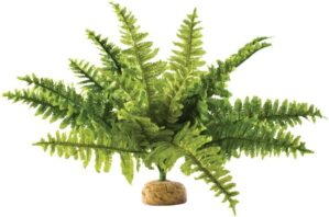Exo Terra Reptiles Amphibians Boston Fern Terrarium Plant