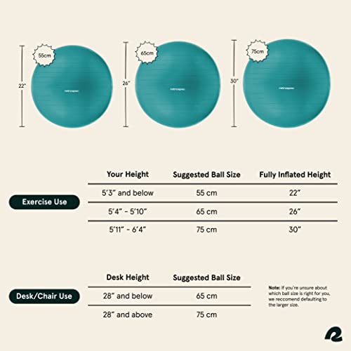 Retrospec Luna Exercise Ball With Base & Pump - Image 2