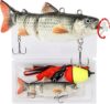 HADORAM Robotic Swimming Fishing Bait Electric Lures