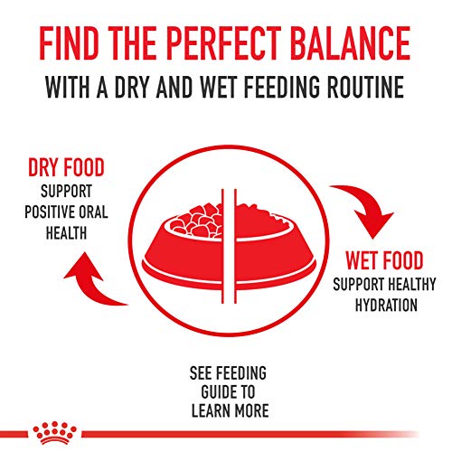 Royal Canin Bengal Breed Adult Cat Food, 7 Lb - Image 3