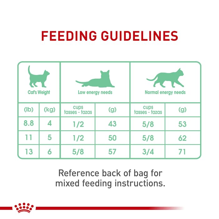 Royal Canin Digestive Care Dry Cat Food, 6 lb - Image 4
