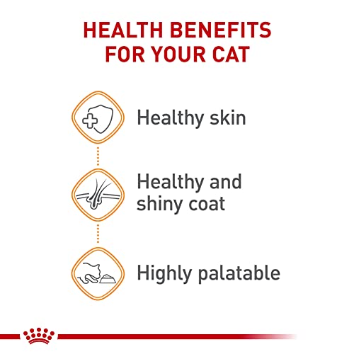 Royal Canin Feline Nutrition Hair & Skin Cat Food - Image 3