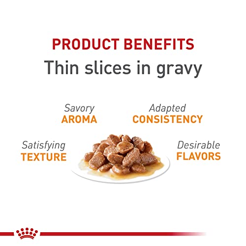 Royal Canin Feline Nutrition Hair & Skin Cat Food - Image 2
