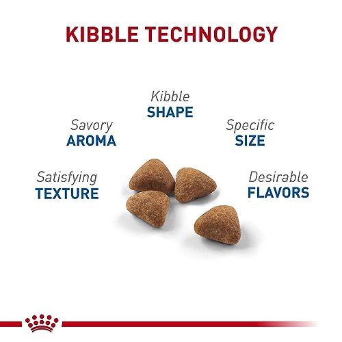 Royal Canin Indoor Cat Food, Supports Weight & Hairball Management - Image 4