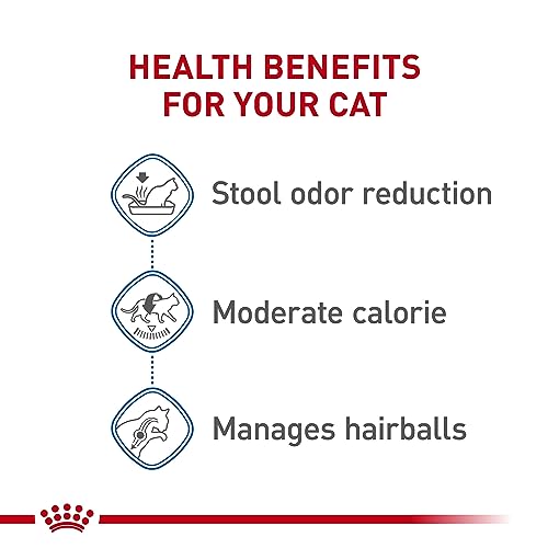 Royal Canin Indoor Cat Food, Supports Weight & Hairball Management - Image 5