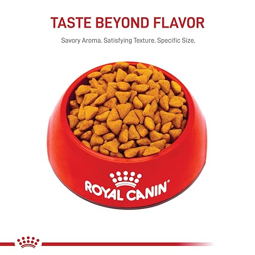 Royal Canin Indoor Cat Food, Supports Weight & Hairball Management - Image 2