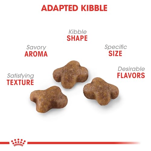 Royal Canin Kitten Health Nutrition Dry Food - Image 3