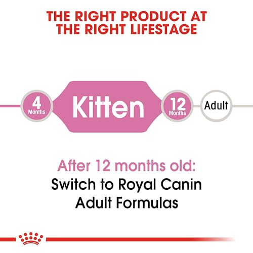 Royal Canin Kitten Health Nutrition Dry Food - Image 5