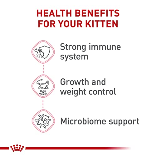 Royal Canin Kitten Spayed/Neutered Dry Cat Food - Image 4