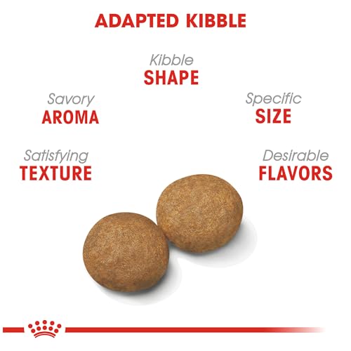 Royal Canin Medium Breed Adult Dry Dog Food - Image 3