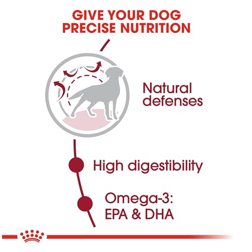 Royal Canin Medium Breed Adult Dry Dog Food - Image 4