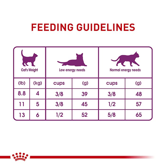 Royal Canin Sensitive Digestion Cat Food, Dry Formula, 7 lb - Image 5