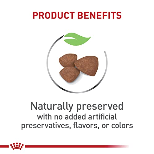 Royal Canin Size Health Nutrition Small Puppy Food - Image 3