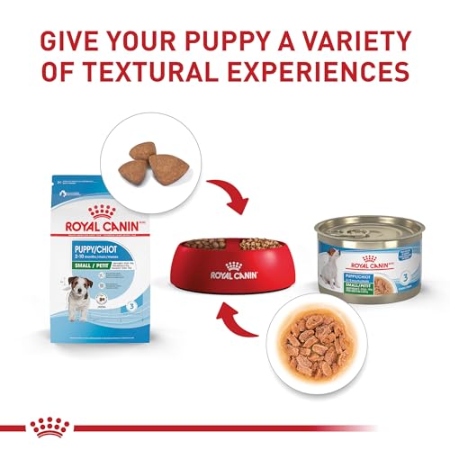 Royal Canin Size Health Nutrition Small Puppy Food - Image 5