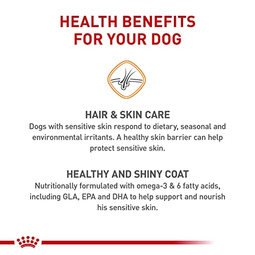 Royal Canin Small Sensitive Skin Care Dog Food - Image 5