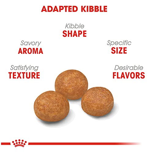 Royal Canin X-Small Adult Dry Dog Food - Image 3