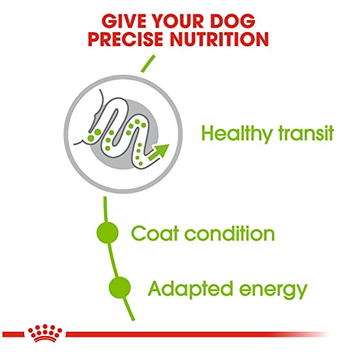 Royal Canin X-Small Adult Dry Dog Food - Image 5