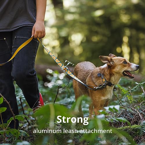 Ruffwear Crag Dog Collar, Reflective, Alpine Dusk - Image 5