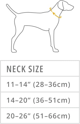 Ruffwear Top Rope Reflective Dog Collar, River Rock Green - Image 3