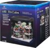 Aqueon Saltwater Fish Medium Starter Kit