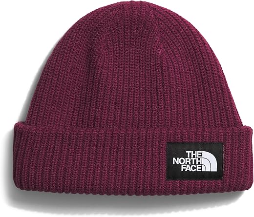 THE NORTH FACE Salty Dog Lined Beanie, Boysenberry
